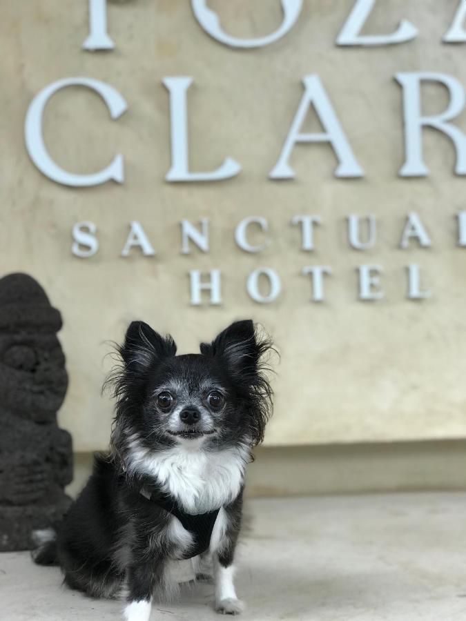 Poza Clara Sanctuary Hotel Bacalar Ngoại thất bức ảnh
